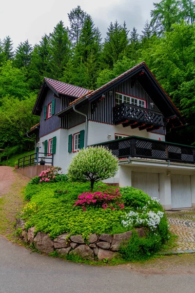 Little Summer Walk Beautiful Nature Schmalkalden Thuringia — Stock Photo, Image