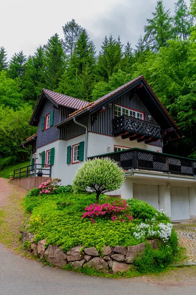 Piccola Passeggiata Estiva Attraverso Splendida Natura Schmalkalden Turingia — Foto Stock