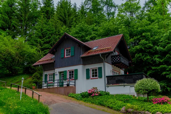 Kis Nyári Séta Gyönyörű Természet Schmalkalden Türingiában — Stock Fotó