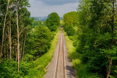 Güney Thüringen Almanya 'nın güzel doğasında yaz yürüyüşü