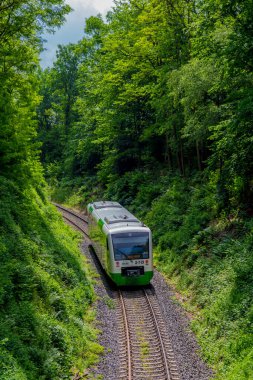 Güney Thüringen Almanya 'nın güzel doğasında yaz yürüyüşü
