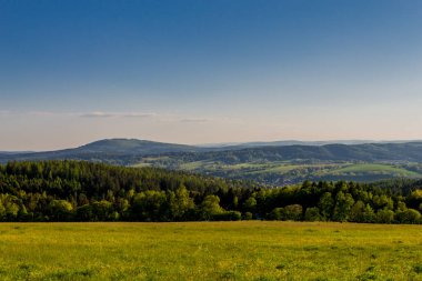 Thüringen Ormanı 'nda güzel bir günbatımına doğru yürürken 