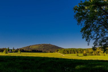 Thüringen Ormanı 'nda güzel bir günbatımına doğru yürürken 