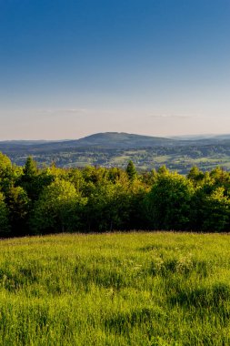 Thüringen Ormanı 'nda güzel bir günbatımına doğru yürürken 