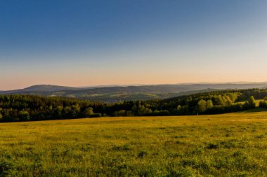 Thüringen Ormanı 'nda güzel bir günbatımına doğru yürürken 