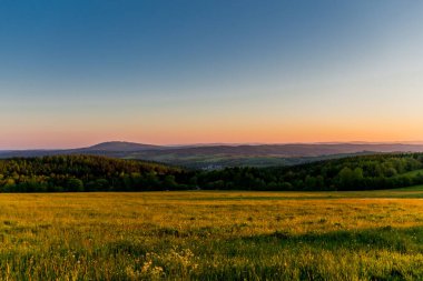Thüringen Ormanı 'nda güzel bir günbatımına doğru yürürken 