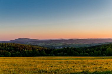 Thüringen Ormanı 'nda güzel bir günbatımına doğru yürürken 