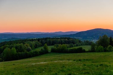 Thüringen Ormanı 'nda güzel bir günbatımına doğru yürürken 