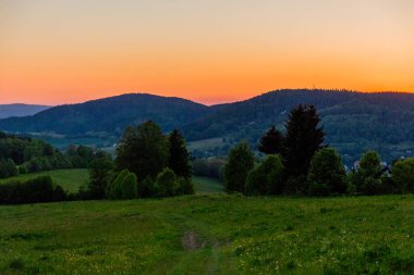 Thüringen Ormanı 'nda güzel bir günbatımına doğru yürürken 