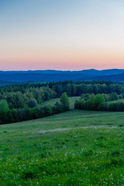 Thüringen Ormanı 'nda güzel bir günbatımına doğru yürürken 