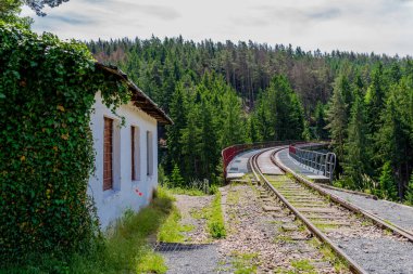 Ziegenrueck yakınlarındaki Thüringen Denizi 'ndeki Hohenwarte Barajı' nda yürüyüş.
