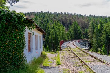 Ziegenrueck yakınlarındaki Thüringen Denizi 'ndeki Hohenwarte Barajı' nda yürüyüş.