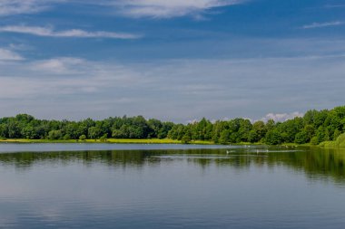 Doğu Thüringen 'deki Plothen göletlerinde dolaş.  
