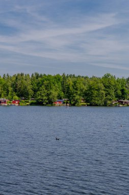 Doğu Thüringen 'deki Plothen göletlerinde dolaş.  