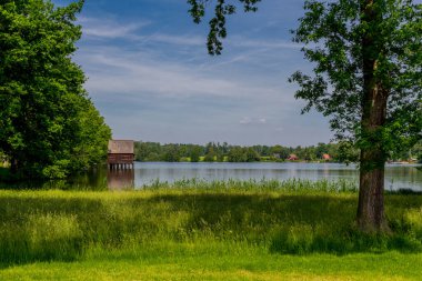 Doğu Thüringen 'deki Plothen göletlerinde dolaş.  