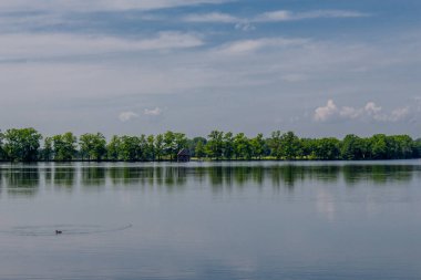 Doğu Thüringen 'deki Plothen göletlerinde dolaş.  
