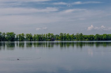 Doğu Thüringen 'deki Plothen göletlerinde dolaş.  