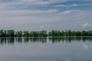 Doğu Thüringen 'deki Plothen göletlerinde dolaş.  