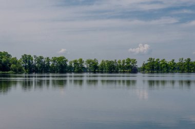 Doğu Thüringen 'deki Plothen göletlerinde dolaş.  
