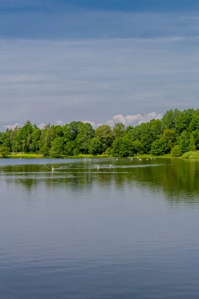 Promenera Runt Plothen Dammar Östra Thüringen — Stockfoto