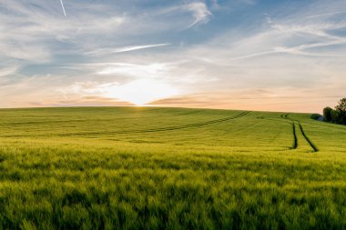Hohenwarte barajındaki Saale vadisinde yaz günü