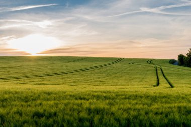 Hohenwarte barajındaki Saale vadisinde yaz günü