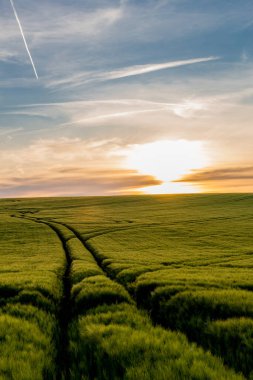 Hohenwarte barajındaki Saale vadisinde yaz günü