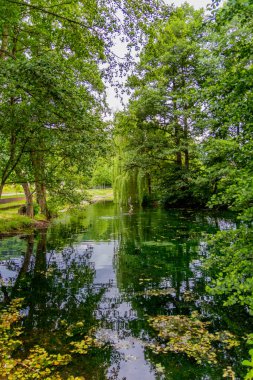 Schmalkalden 'in güzel parklarında yaz akşamı yürüyüşü