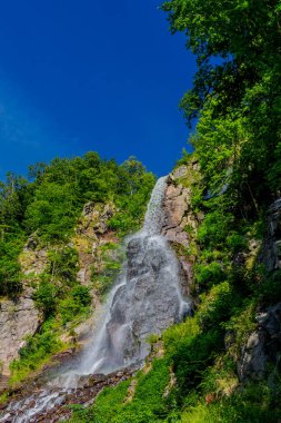 Thüringen 'de Trusetal yakınlarındaki şelalenin etrafında yürü