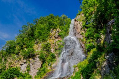 Thüringen 'de Trusetal yakınlarındaki şelalenin etrafında yürü