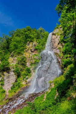 Thüringen 'de Trusetal yakınlarındaki şelalenin etrafında yürü