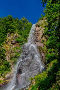 Thüringen 'de Trusetal yakınlarındaki şelalenin etrafında yürü