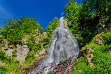 Thüringen 'de Trusetal yakınlarındaki şelalenin etrafında yürü