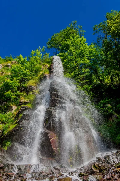 Thüringen 'de Trusetal yakınlarındaki şelalenin etrafında yürü