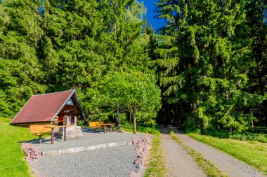 Struth-Helmershof yakınlarındaki Thuringian Ormanı 'nda yaz yürüyüşü 