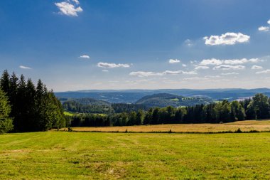 Struth-Helmershof yakınlarındaki Thuringian Ormanı 'nda yaz yürüyüşü 