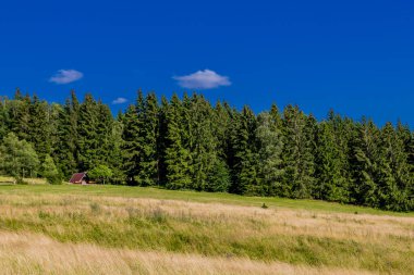 Struth-Helmershof yakınlarındaki Thuringian Ormanı 'nda yaz yürüyüşü 