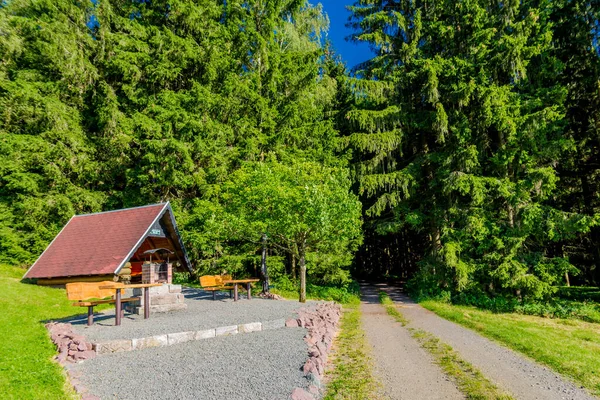 Sommerwanderung Durch Den Thüringer Wald Bei Struth Helmershof — Stockfoto