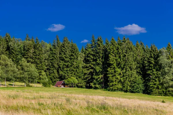 Sommerwanderung Durch Den Thüringer Wald Bei Struth Helmershof — Stockfoto