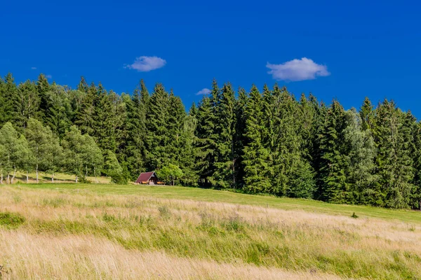 Sommerwanderung Durch Den Thüringer Wald Bei Struth Helmershof — Stockfoto