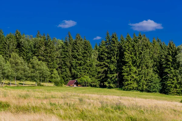 Sommerwanderung Durch Den Thüringer Wald Bei Struth Helmershof — Stockfoto