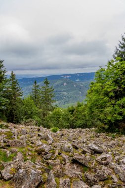 Thüringen 'in güzel doğasında yaz yürüyüşü