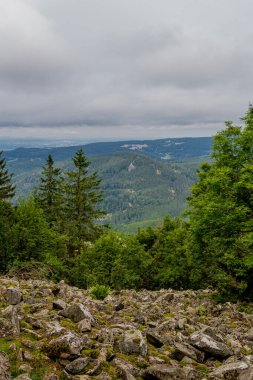 Thüringen 'in güzel doğasında yaz yürüyüşü