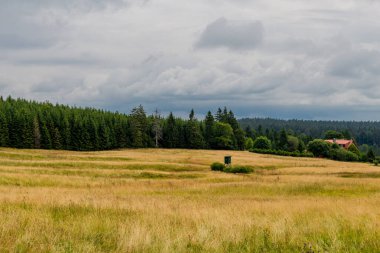 Thüringen 'in güzel doğasında yaz yürüyüşü