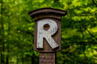 Thüringen 'in güzel doğasında yaz yürüyüşü