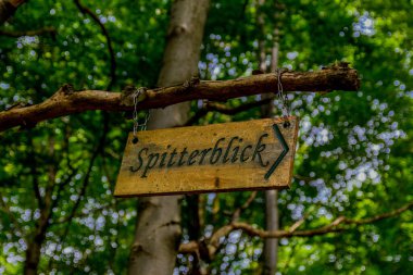 Thüringen 'in güzel doğasında yaz yürüyüşü