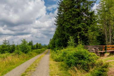 Thüringen 'in güzel doğasında yaz yürüyüşü
