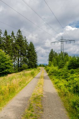 Thüringen 'in güzel doğasında yaz yürüyüşü