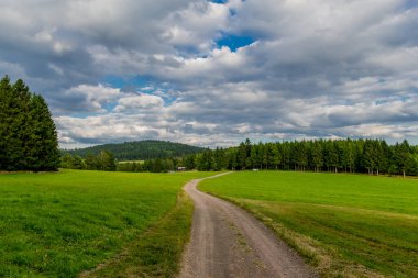 Thuringian Ormanı 'nın güzel doğasında yaz yürüyüşü