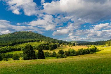 Thuringian Ormanı 'nın güzel doğasında yaz yürüyüşü